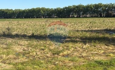 Tu Oasis de Lujo en Colchagua, ¡Descúbrelo!