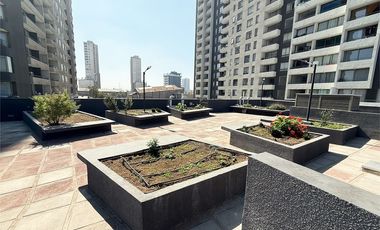 AMPLIO DEPARTAMENTO ESTUDIO