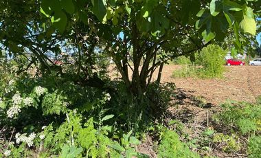 Se Vende Parcela Sector San Diego, San Clemente.