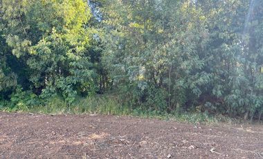 Se Vende Parcela Sector San Diego, San Clemente.