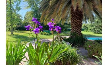 Casa en parcela, Peñaflor