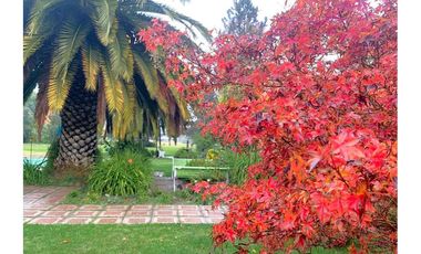 Casa en parcela, Peñaflor