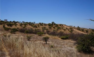 BAJAMOS EL PRECIO PARCELA SECTOR EMBALSE MALLERMO