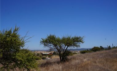 BAJAMOS EL PRECIO PARCELA SECTOR EMBALSE MALLERMO