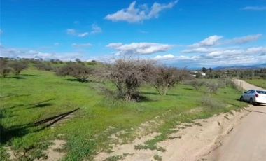 BAJAMOS EL PRECIO PARCELA SECTOR EMBALSE MALLERMO