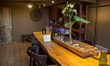 Excelente propiedad comercial / Providencia