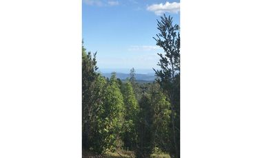 venta PARCELA DE AGRADO