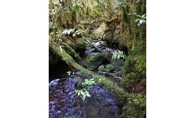 venta PARCELA DE AGRADO