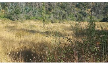 Hermosa Parcela cercana a Santa Juana