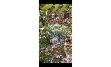 Hermosa Parcela cercana a Santa Juana