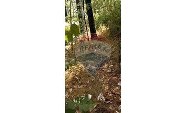 Hermosa Parcela cercana a Santa Juana