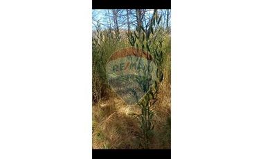 Hermosa Parcela cercana a Santa Juana