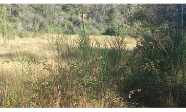 Hermosa Parcela cercana a Santa Juana