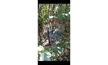 Hermosa Parcela cercana a Santa Juana