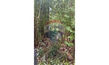 Hermosa Parcela cercana a Santa Juana