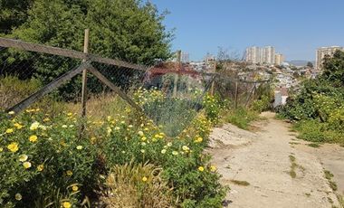 Terreno en Valparaíso: ¡Vista al  Mar!