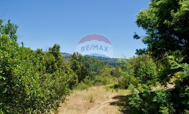 Hermosa Parcela Flora y Fauna Nativa