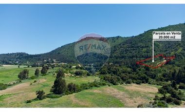 Hermosa Parcela Flora y Fauna Nativa