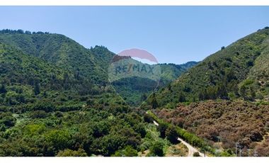 Hermosa Parcela Flora y Fauna Nativa