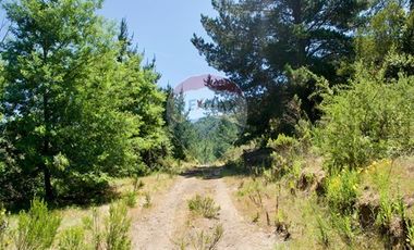 Hermosa Parcela Flora y Fauna Nativa