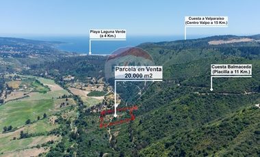 Hermosa Parcela Flora y Fauna Nativa