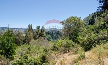 Hermosa Parcela Flora y Fauna Nativa