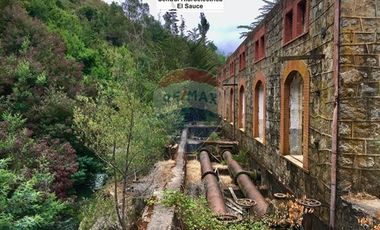 Hermosa Parcela Flora y Fauna Nativa