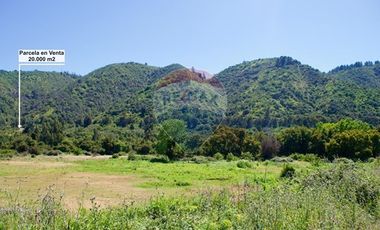 Hermosa Parcela Flora y Fauna Nativa
