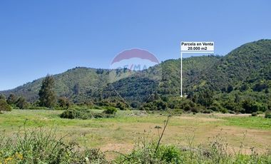 Hermosa Parcela Flora y Fauna Nativa