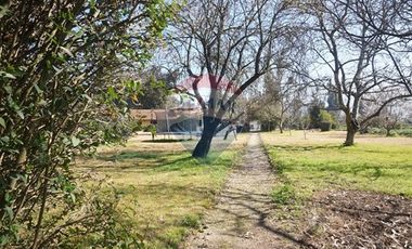 Terreno venta  2,6 Há Peñaflor