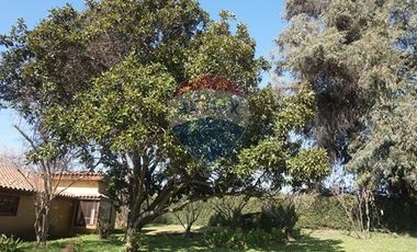 Terreno venta  2,6 Há Peñaflor