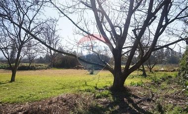 Terreno venta  2,6 Há Peñaflor