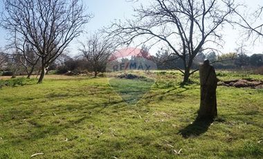 Terreno venta  2,6 Há Peñaflor