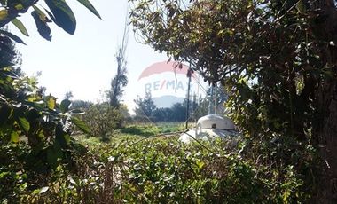 Terreno venta  2,6 Há Peñaflor