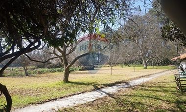 Terreno venta  2,6 Há Peñaflor