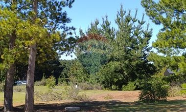 Terreno con vista al mar, Pichilemu.