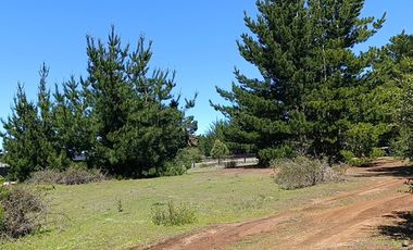 Terreno con vista al mar, Pichilemu.