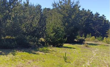 Terreno con vista al mar, Pichilemu.