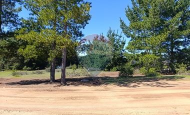 Terreno con vista al mar, Pichilemu.