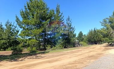 Terreno con vista al mar, Pichilemu.