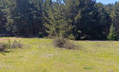 Terreno con vista al mar, Pichilemu.