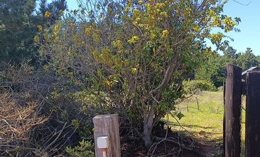 Terreno con vista al mar, Pichilemu.