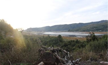 Venta parcelas vista al mar y río Mehuin Valdivia.