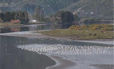 Venta parcelas vista al mar y río Mehuin Valdivia.