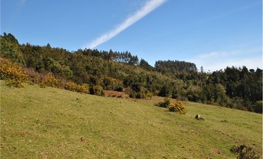 Venta parcelas vista al mar y río Mehuin Valdivia.