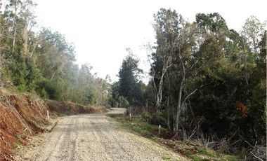 Venta parcelas vista al mar y río Mehuin Valdivia.