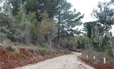 Venta parcelas vista al mar y río Mehuin Valdivia.