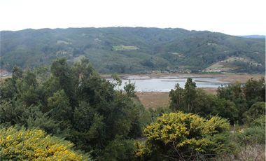 Venta parcelas vista al mar y río Mehuin Valdivia.