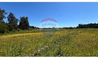 GRAN PARCELA EN LONGAVI