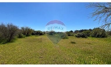 GRAN PARCELA EN LONGAVI